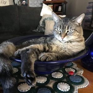 Meet your Posher, Mary